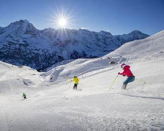 Central Hotel Wolter - Grindelwald
