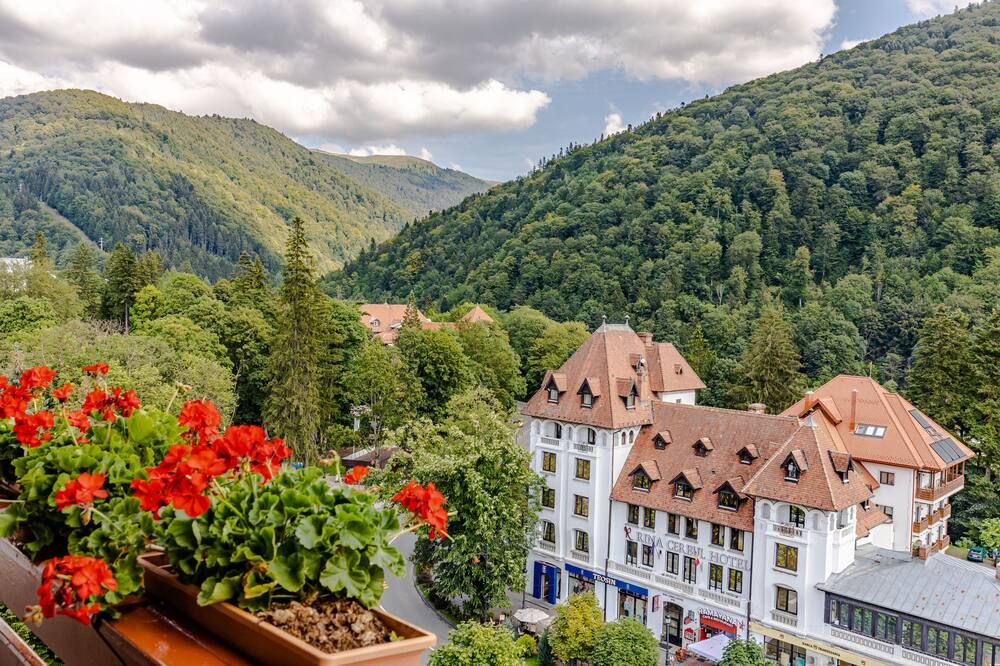 Hotel Sinaia - Sinaia - Outdoors view