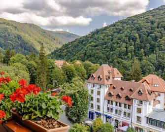Hotel Sinaia - Sinaia - Vista del exterior