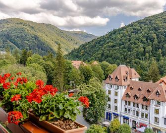 Hotel Sinaia - Sinaia - Outdoors view