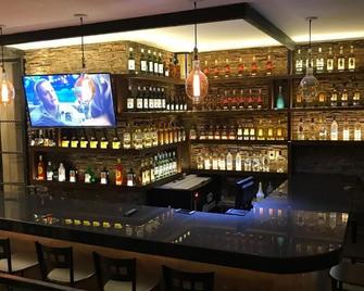 Hotel Real San Javier - San Juan de los Lagos - Bar