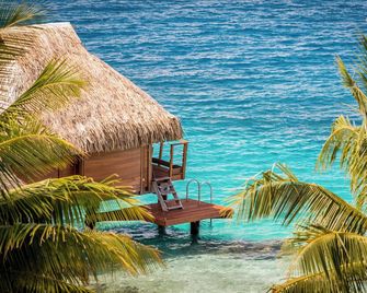 Maitai Bora Bora - Vaitape