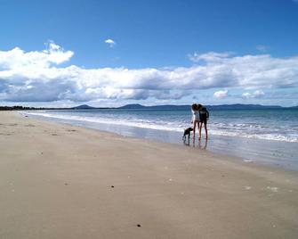 Nine Mile Escape - Swansea