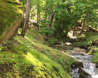 Cottage · Cozy cottage for work & play! - Weaverville - Outdoors view