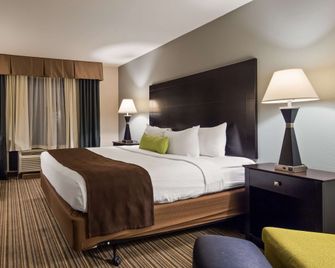Best Western Plus Sunrise Inn - Nashville - Yatak Odası