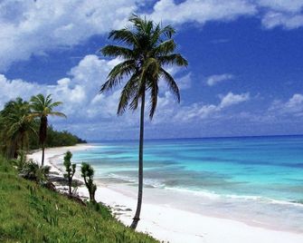 On The Dune - Beachfront Cottage With 50 Mile Ocean View, Pool 2 Bedroom Villa - North Palmetto Point - Playa