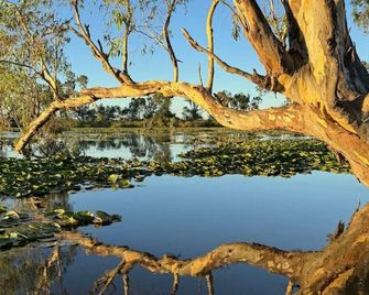 Hide & Seek Glamping Hut 3 - Nagambie - Venkovní prostory