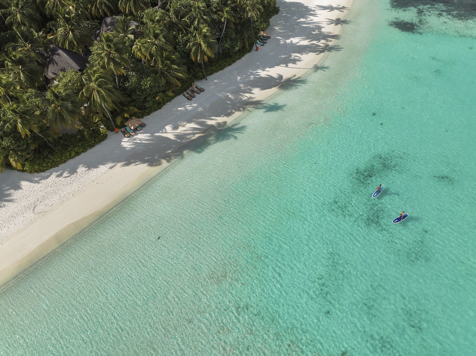 كونستانس هالافيلي