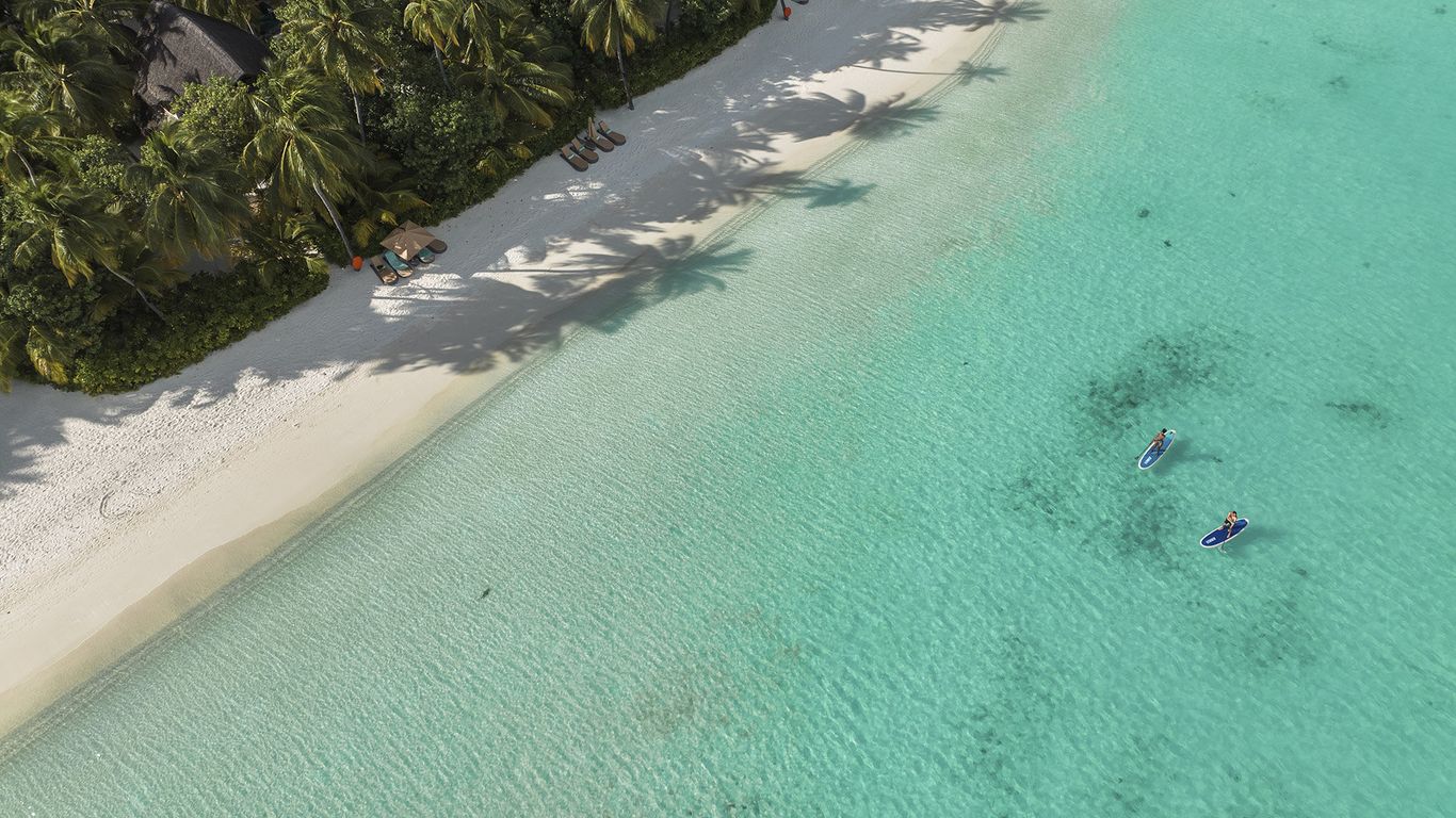 كونستانس هالافيلي