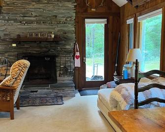Charming riverside cabin in Jamaica, VT with hot tub - Jamaica