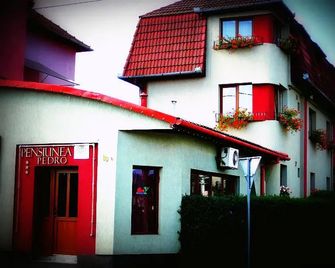 Pensiunea Pedro - Cluj Napoca - Building