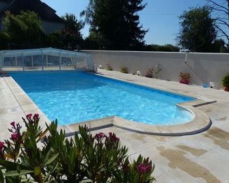 Le Clos Fleuri - Vineuil - Zwembad