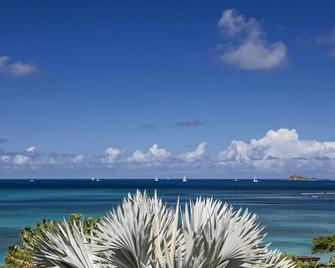 Luxury Villa With Fantastic Views Steeped In Privacy - Spanish Town - Beach