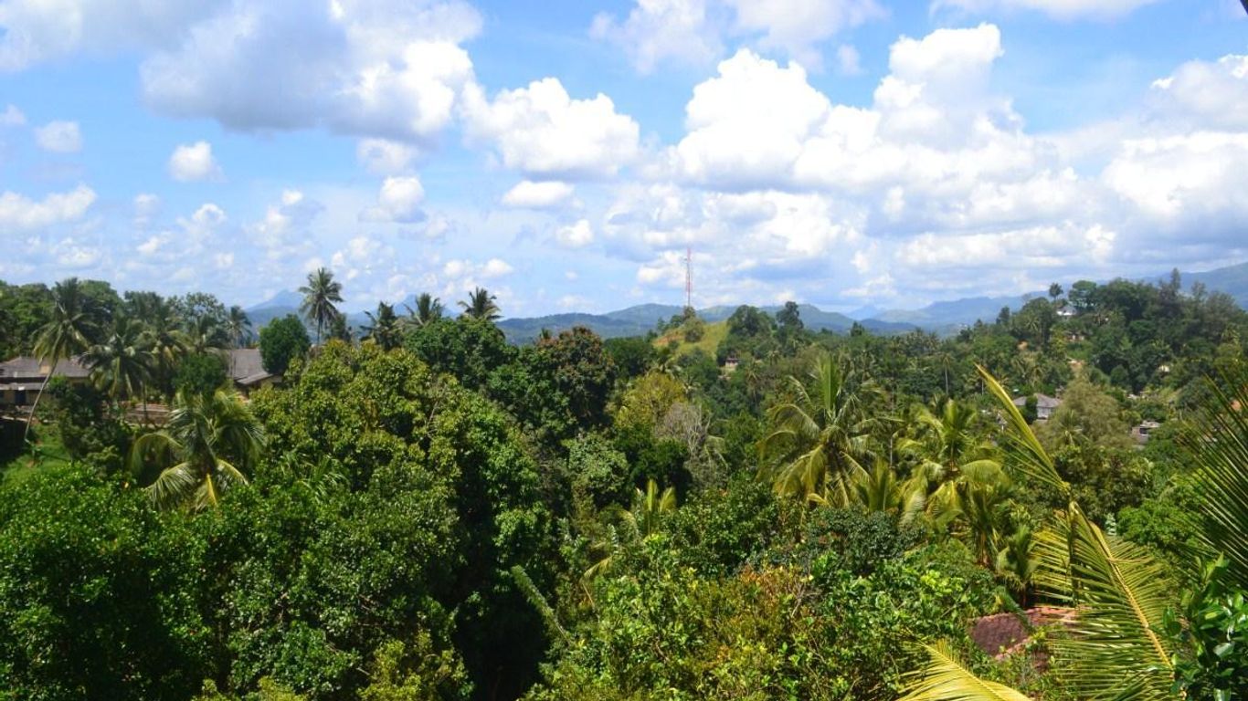 Blue Haven Guest House