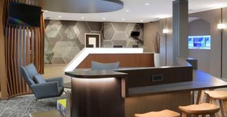 SpringHill Suites by Marriott Dallas Addison/Quorum Drive - Addison - Rezeption