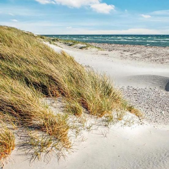 Large Holiday Home Close To The Beach – Ebeltoft