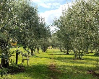 Olive Tree Hill - Zagarolo - Vista del exterior