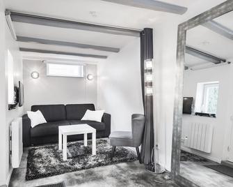 The Alsatian Maisonette - Schiltigheim - Living room