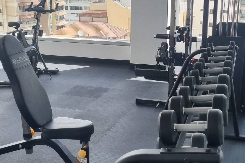 Brickell Hotel apto g 08 Santo Domingo Bella Vista - Santo Domingo - Gym