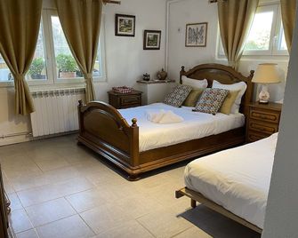 Colmar Small Garden Of The Semm 6 To 10 People, Parking 4 Private Cars And Iron - Colmar - Bedroom