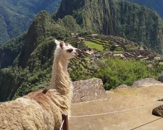 Picos House Machupicchu - 馬丘比丘