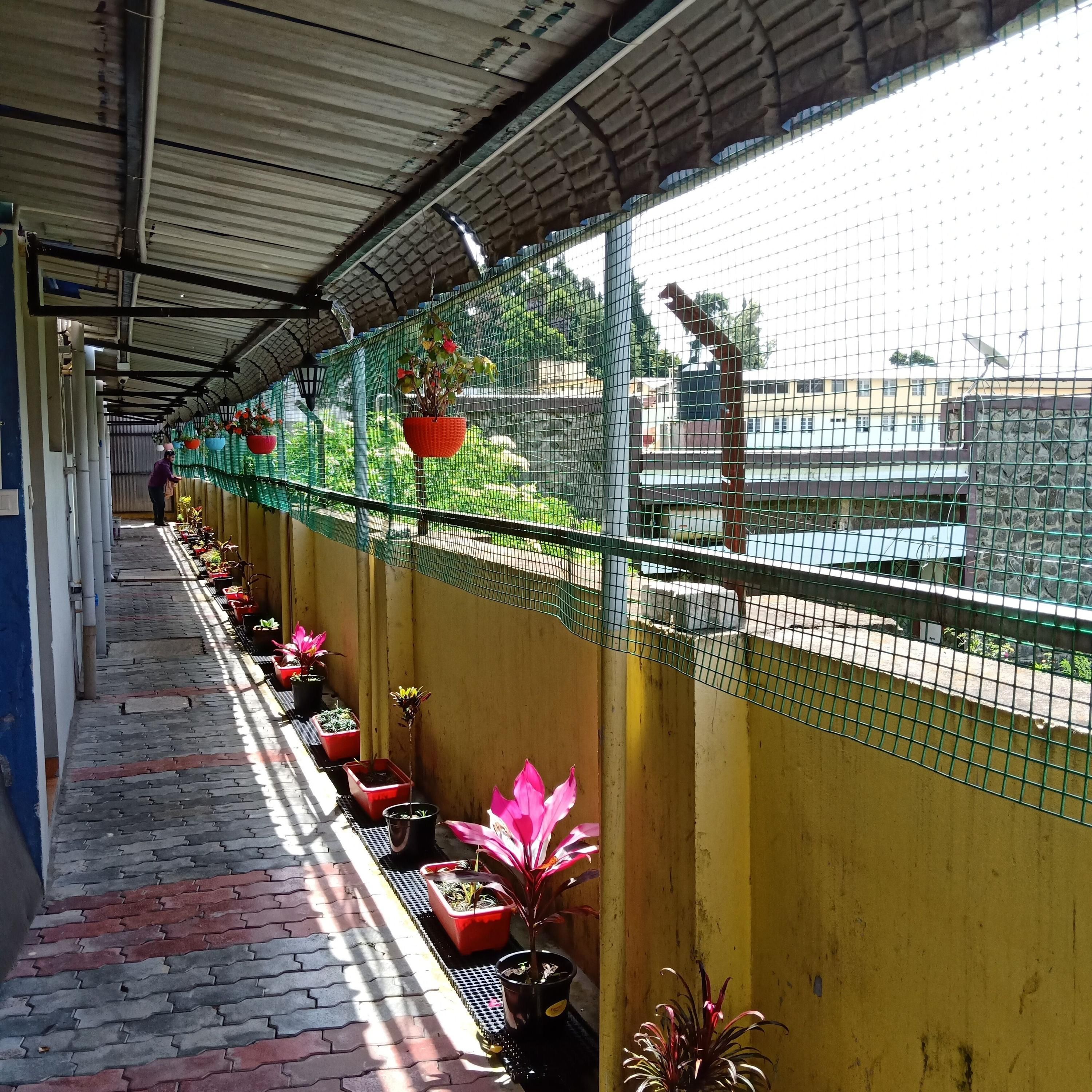 هوتل سبرينج فالي - كودايكانال - ردهة