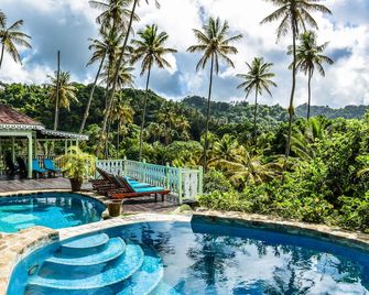 Fond Doux Eco Resort - Soufrière - Piscina