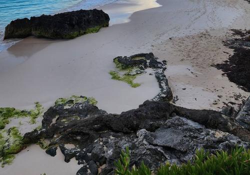 Coco Reef Bermuda, Mount Pleasant – Updated 2024 Prices
