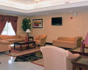 كومفرت سويتس نير إنديانابوليس أيربورت - انديانابوليس - ردهة