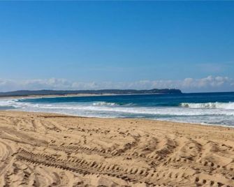 Driftwood at Blacksmiths - Swansea - Strand