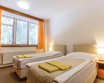 Vz Bedrichov Dependance - Špindlerův Mlýn - Habitación
