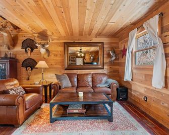 Trails & Tranquility - Cozy Cabin On 30 Acres - Franklin - Living room