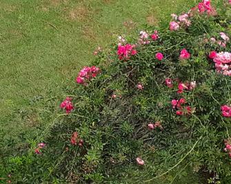 Private Bedrooms With Attached Bathroom,coonoor - Coonoor - Außenansicht