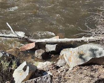 Cabin 1 at Sportsman’s Lodge - Rustic Cabin 1 at Sportsman's Lodge - Red Feather Lakes - Beach