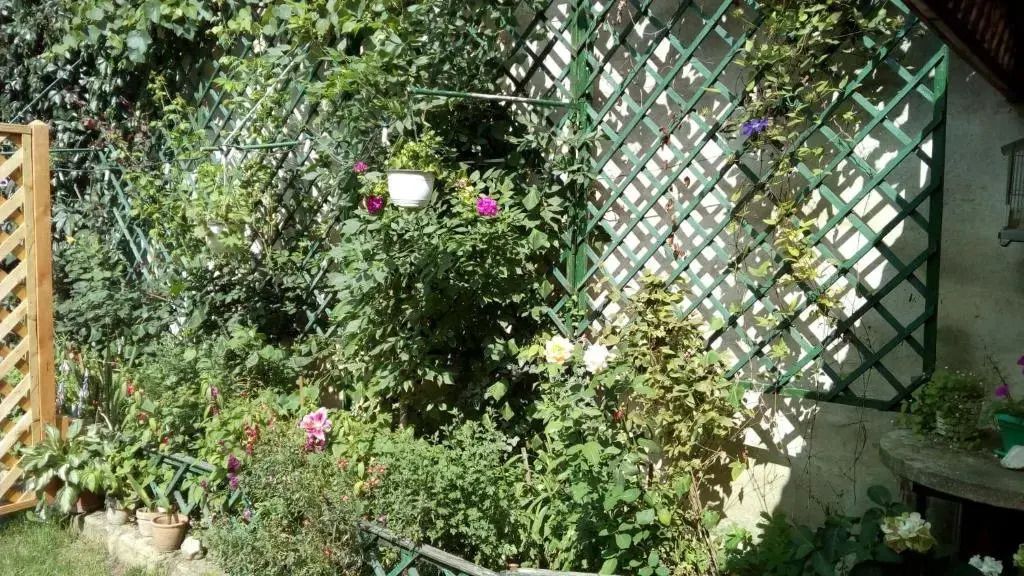 Cluj Center 2 - קלוז'-נאפוקה