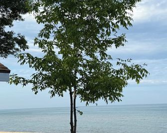 Captains Quarters Cabin - Au Sable Charter Township - Beach