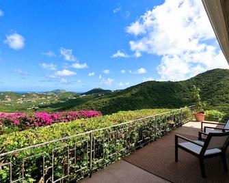 Family Friendly Private Hilltop Oasis w/ Pool & Gym - Christiansted - Balcony