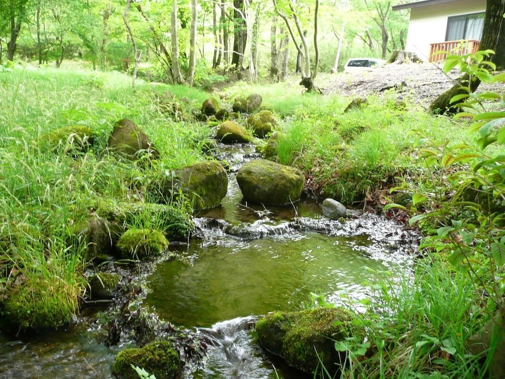 Scotch Court - Nasu - Udsigt