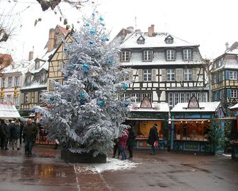 sous les tilleuls 80m2 1 free parking 2br - Colmar - Building