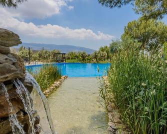Los Albardinales - Casa Lechin Tabernas by Ruralidays - Tabernas - Piscine