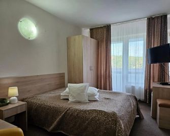 Hotel Mures - Baile Felix