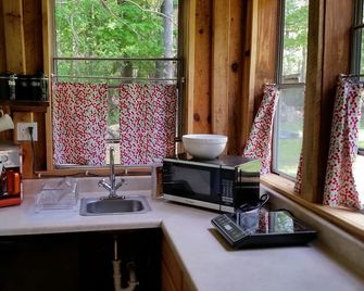 Lovely cottage located on Plattekill Stream - ساوجرتيس - مطبخ