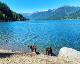 The Kootenay Cottage - Balfour