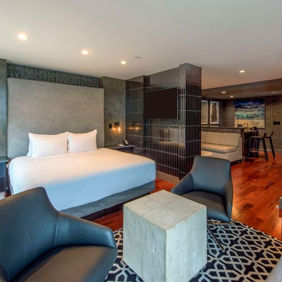 Bedroom view of DoubleTree by Hilton Asheville Downtown