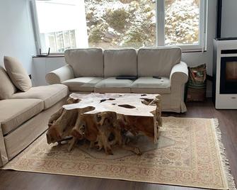 Fantastic brand new apartment in best location just few steps from the ski slope! private parking - Pradollano - Living room