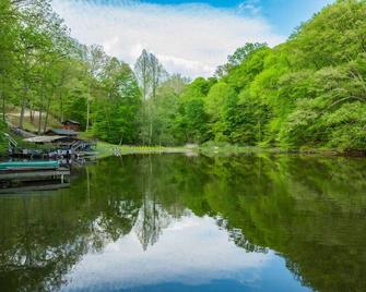 Lakefont-Nestled in Nirvana - Martinsville