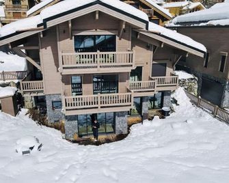 Exceptional chalet Auron 330 M2 - Saint-Étienne-de-Tinée - Bâtiment
