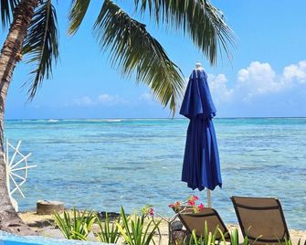 Tiare by Lagoon Dream Fully equipped house with seaside infinity pool and kayaks - Temae - Playa