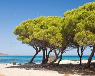 Relaxation Veranda by the Sea Beach 250mt - Budoni - Spiaggia