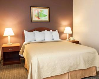 Quality Inn and Suites Indianapolis - Indianapolis - Bedroom